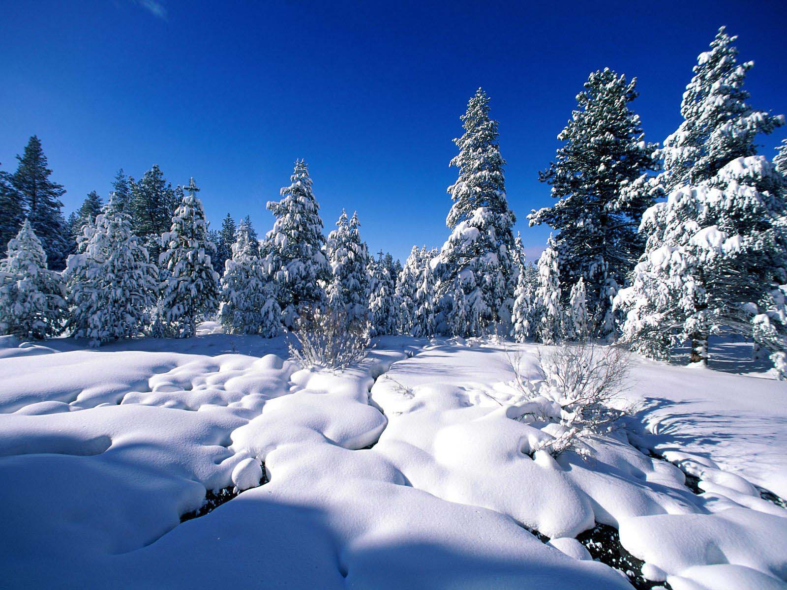 Winter Wonderland Pictures 2013 Wallpapers