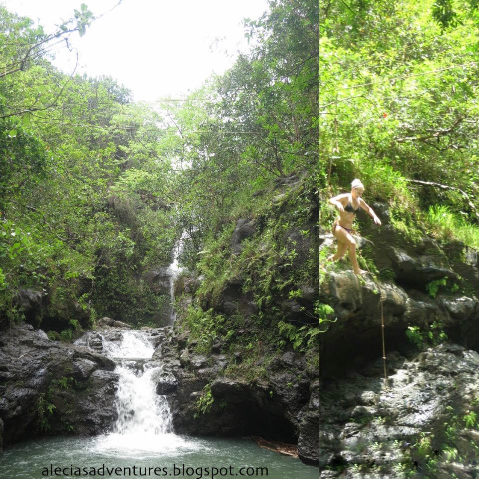 Top 6 Waterfalls on Oahu Alecia's Adventures