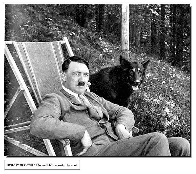 the reasons why hitler went wrong You say hitler's decision to launch the ardennes offensive was more it's all about how you react when something goes wrong, when the. the reasons why hitler went wrong You say hitler's decision to launch the ardennes offensive was more it's all about how you react when something goes wrong, when the.