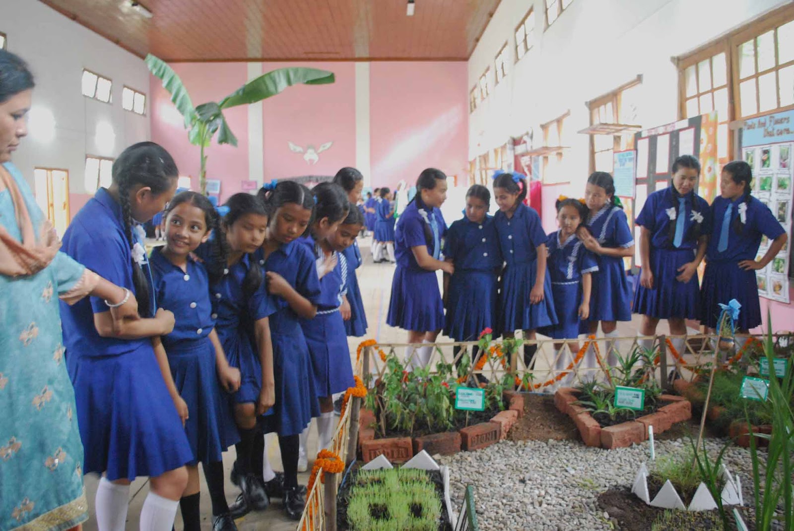 Three days medicinal plants display at St Philomena