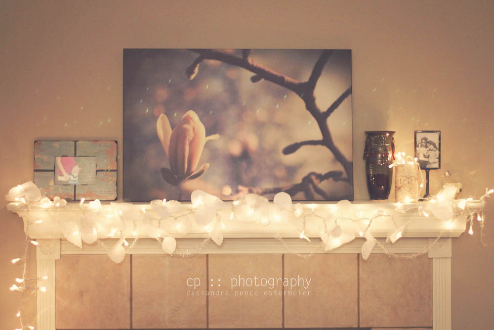 sassafras: valentine lights :: home decor :: diy