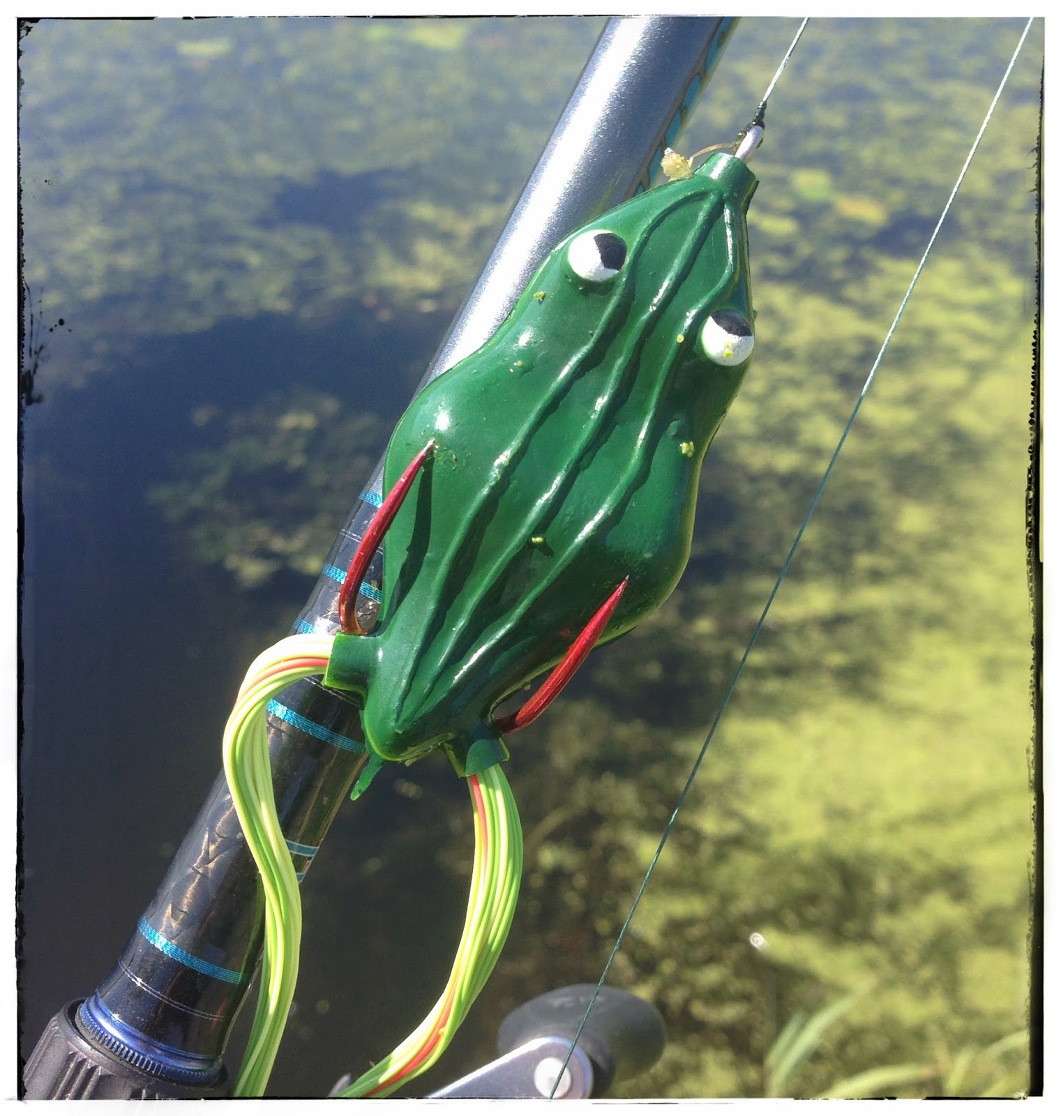 Bass Junkies Frog Pond: Snag Proof Bleedin' Frog Review
