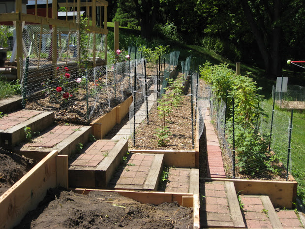 red bucket farm garden terraces