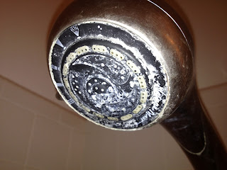 cleaning your shower head