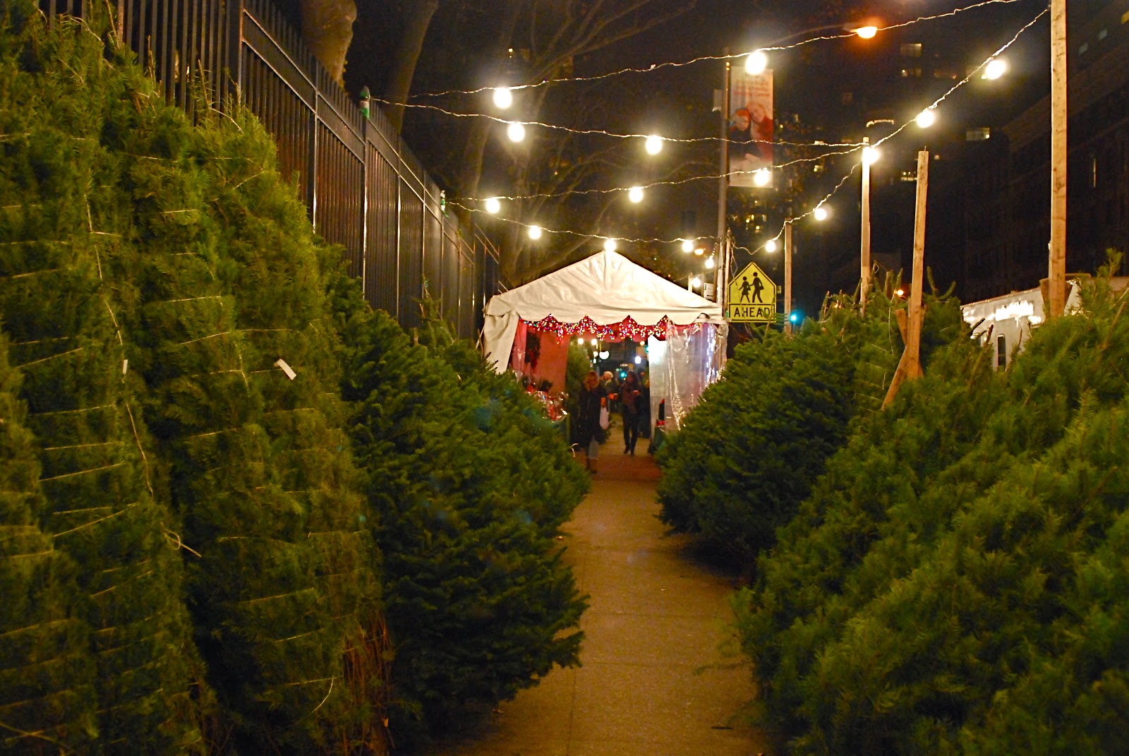 NYC ♥ NYC Manhattan's Sidewalk Christmas Tree Vendors