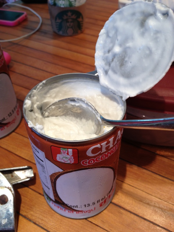 Domestic 360 My Whole 30 Journey Coconut Milk Review