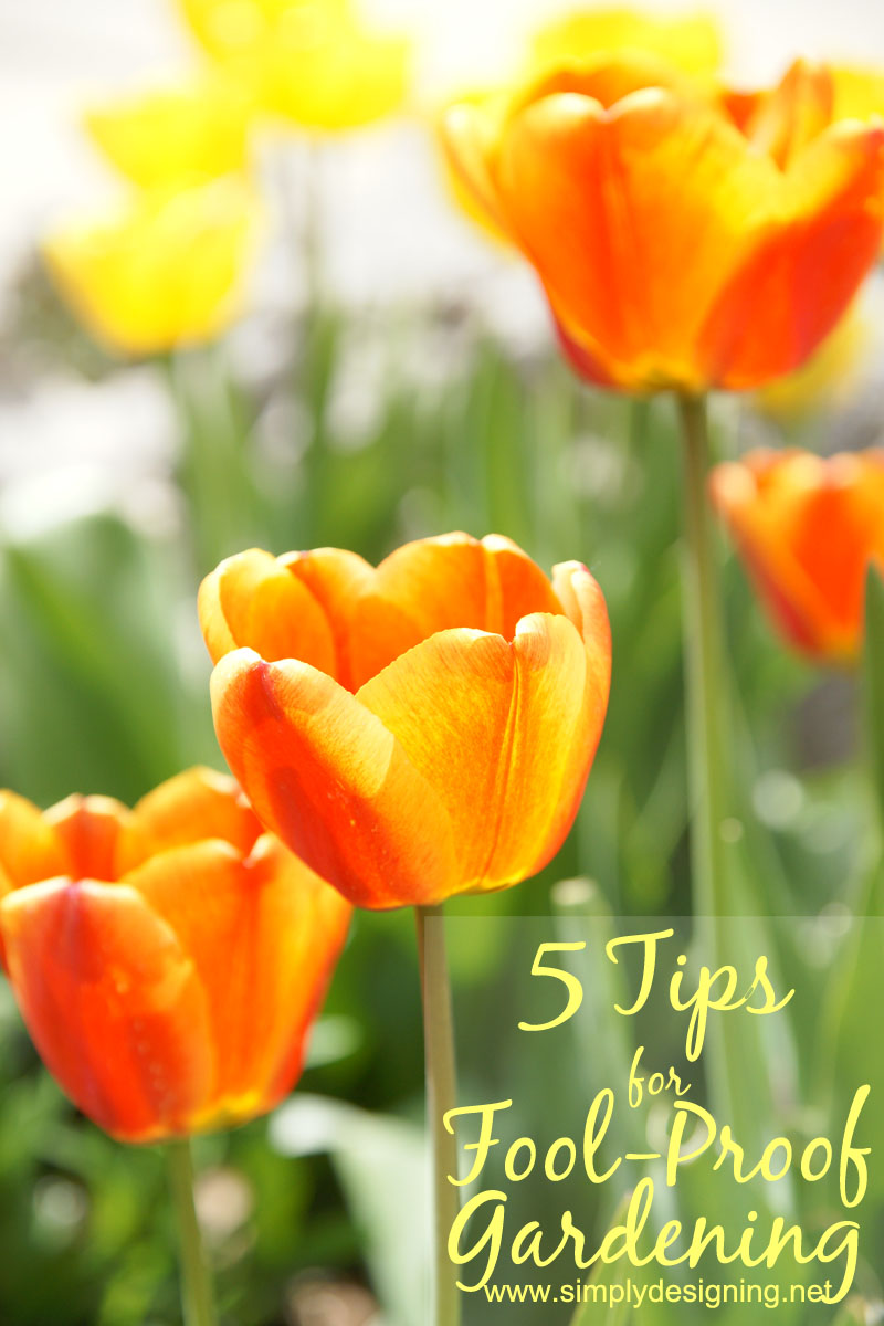 5 Tips for Fool-Proof Gardening | 5 simple tips to help your garden grow #gardening #spon #GroSomethingGreater
