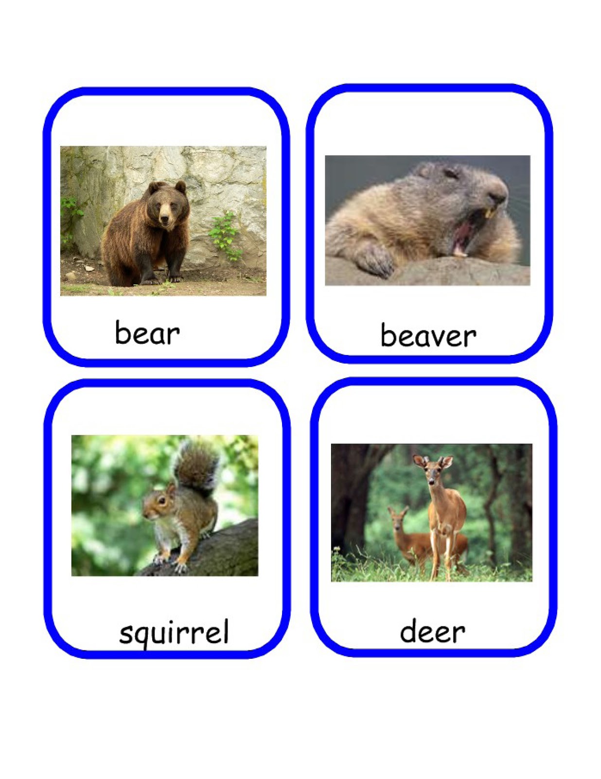 Second Grade is Groovy: 07/03/11