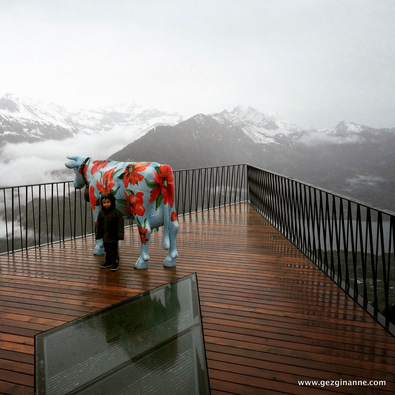Harder Kulm