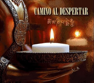 Camino al Despertar