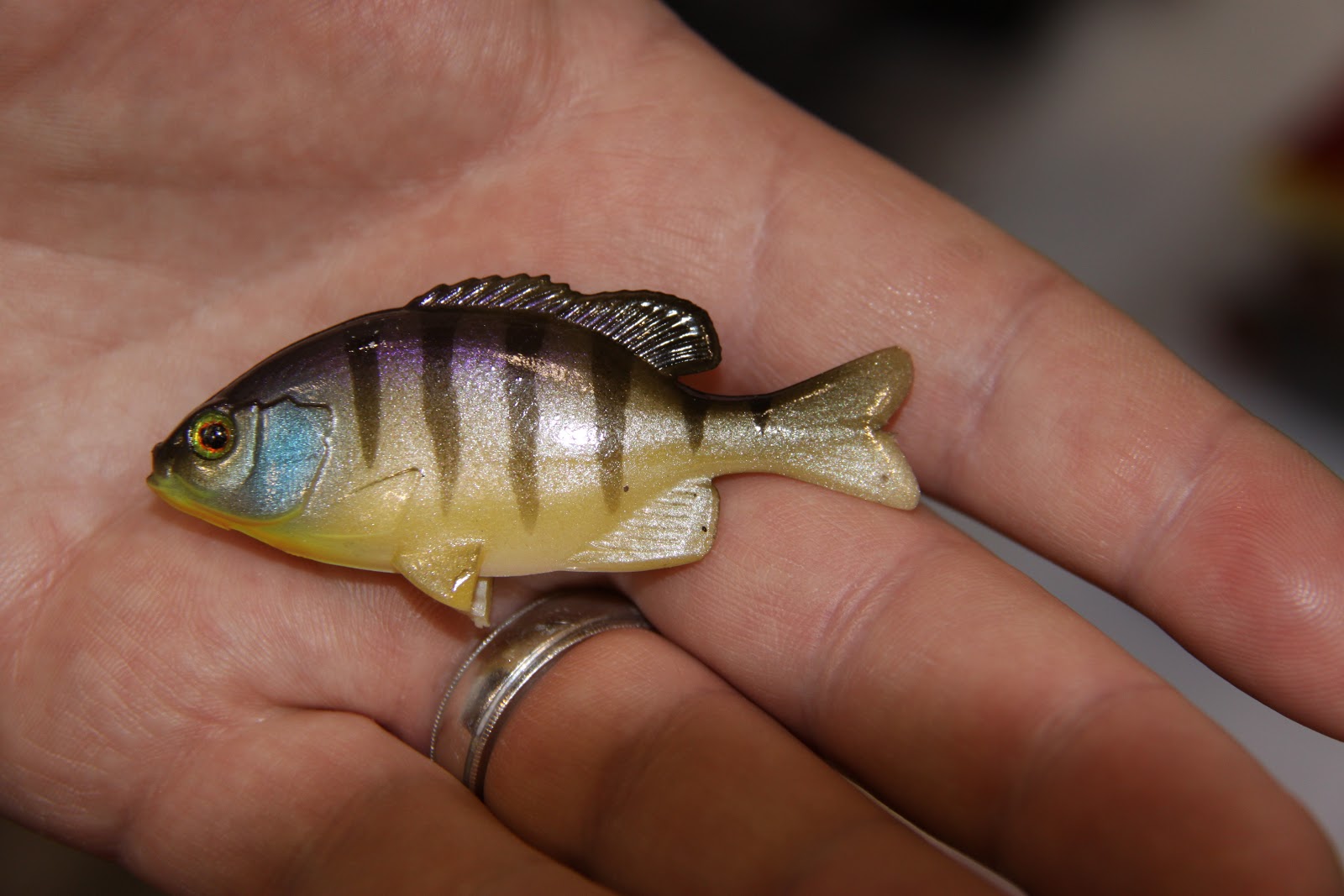 IBASSIN Jackall Pro Jared Lintner on Bed Fishing the Clone Gill