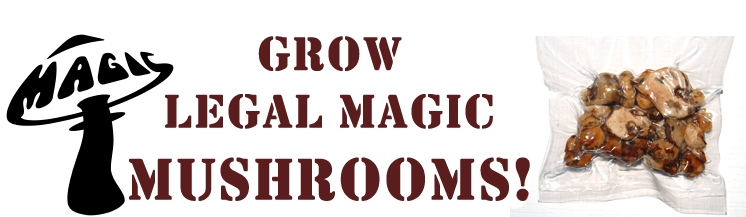 Grow Magic Mushrooms!