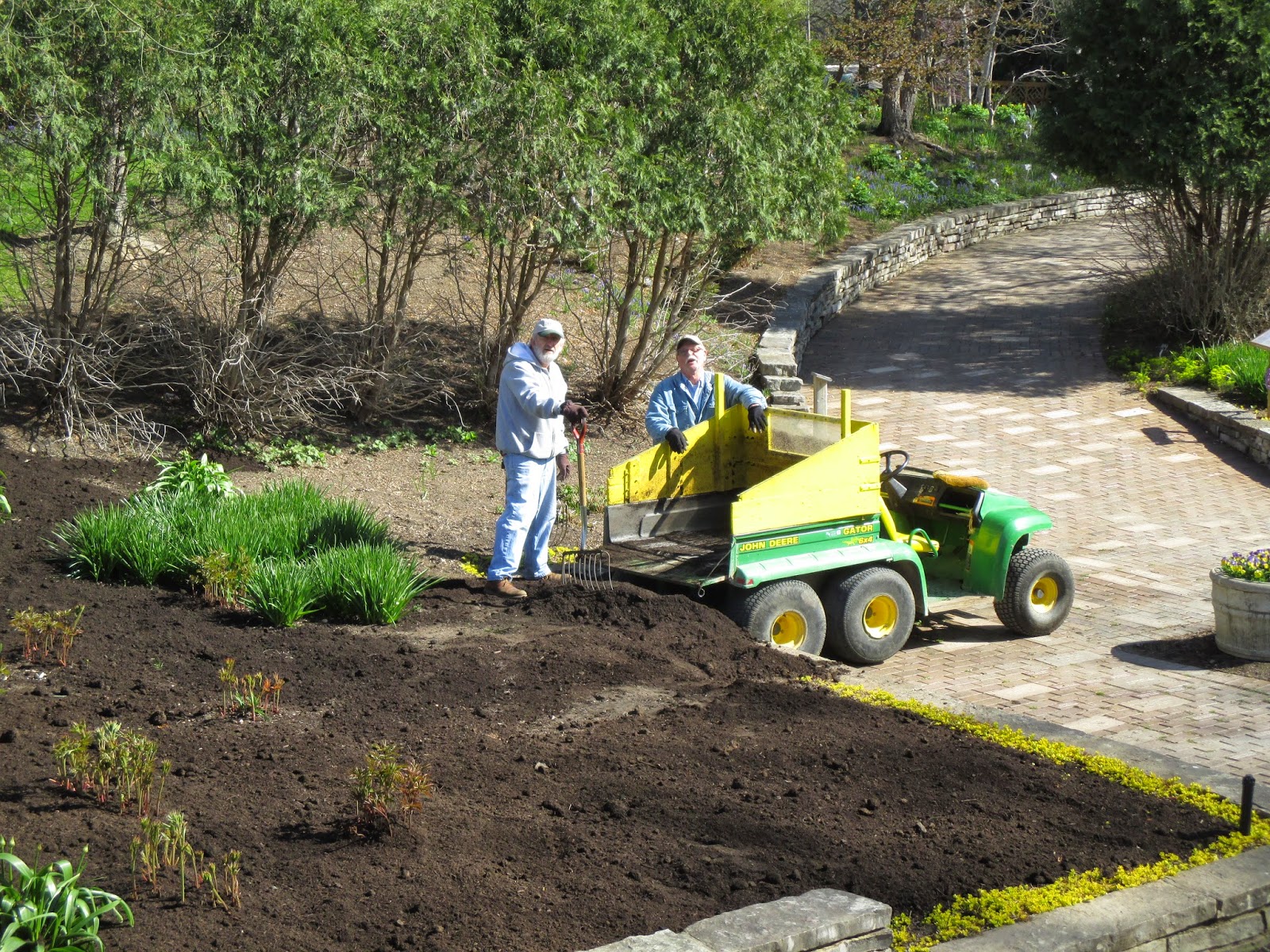 Future Plants By Randy Stewart Syringa Lilac