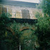Villa Magnoni The Cursed Building