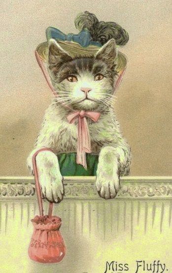 victorian cats in clothes
