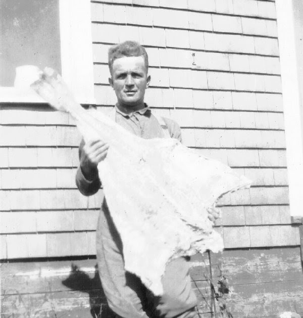 KP In Memoriam Gaspe Salt Cod Bacalao Stew