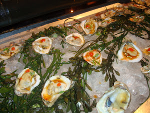 BUFFET PRESENTATIONS OF ATLANTIC OYSTERS FROM SHERATON SHARM, EGYPT