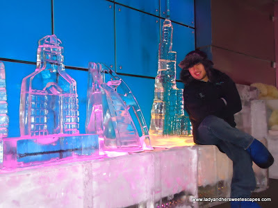 Ice Sculptures of Dubai infrastractures