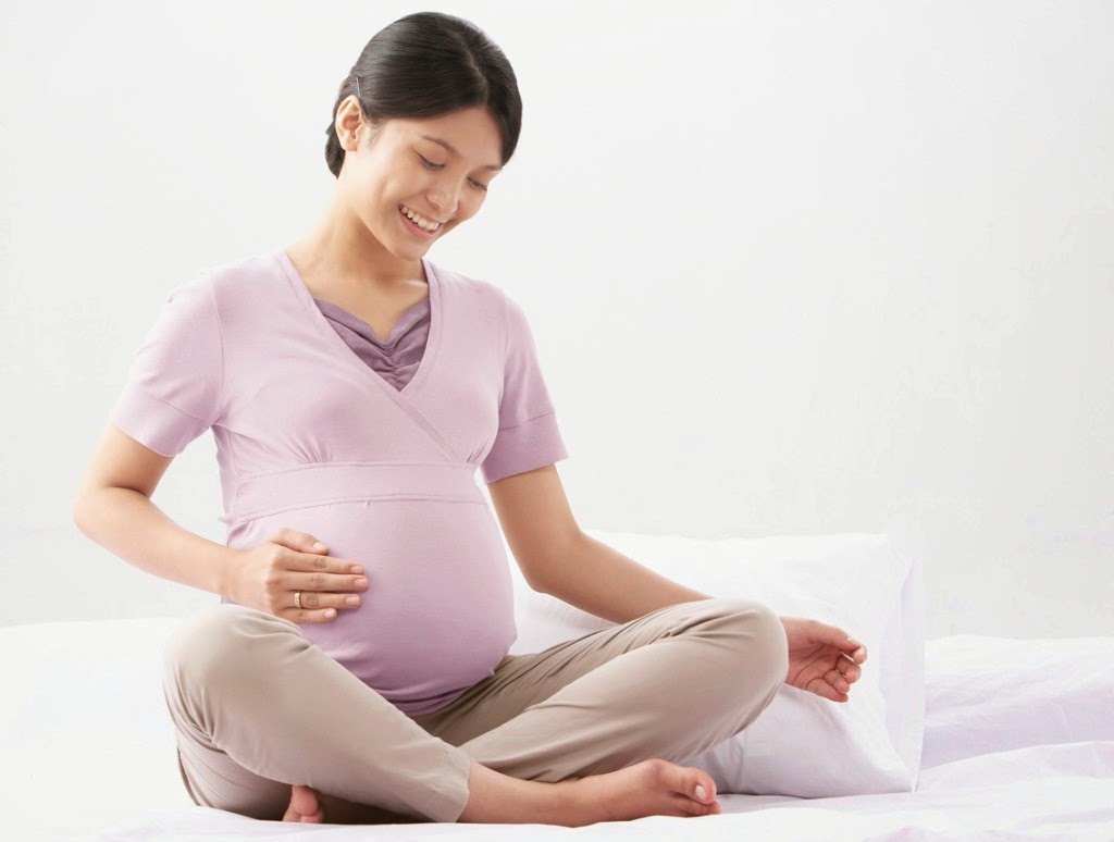  suplemen ibu hamil