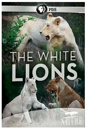 THE WHITE LIONS-HD