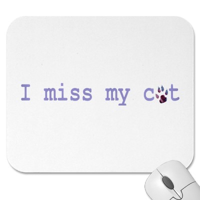 i_miss_my_cat_mousepad-p144111203016018967z8xsj_400.jpg