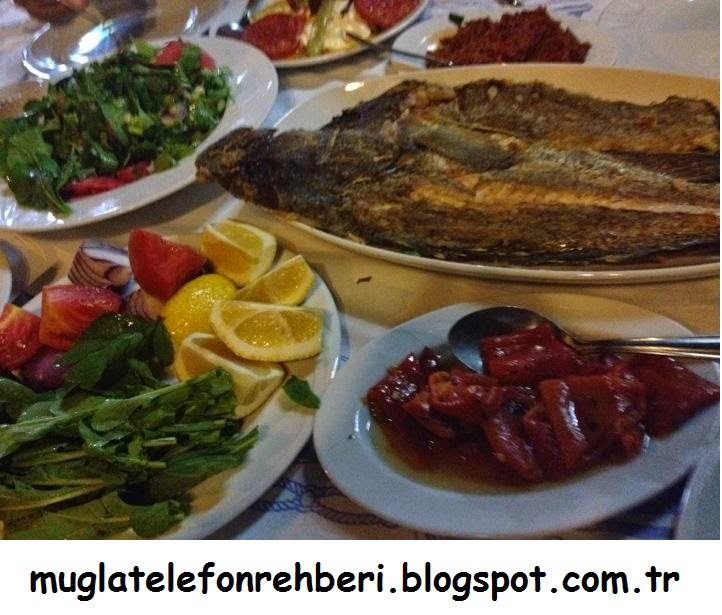 Muğla Telefon Rehberi Azmakkapı Orfoz Restaurant Akyaka Muğla