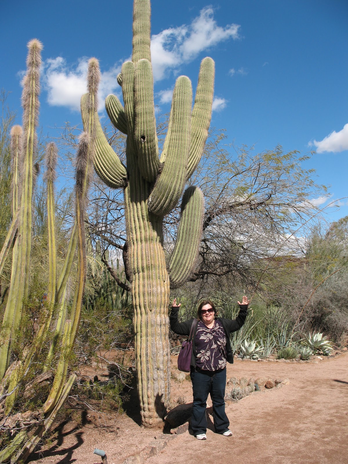 Weighs More Than Me Stuff that Weighs More than Me The Saguaro Cactus