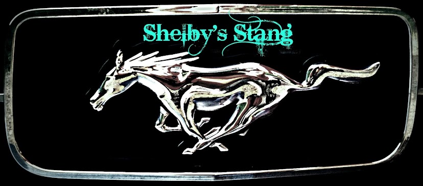 Shelby's Stang