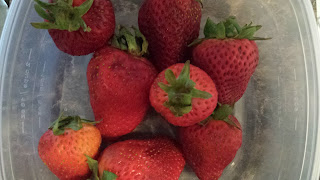 fresh strawberries
