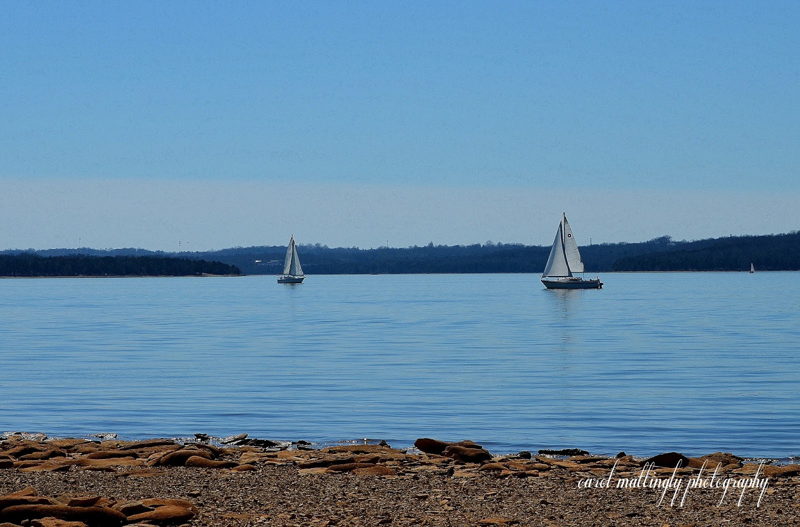 Carol Mattingly Photography Sailboats, Percy Priest Lake