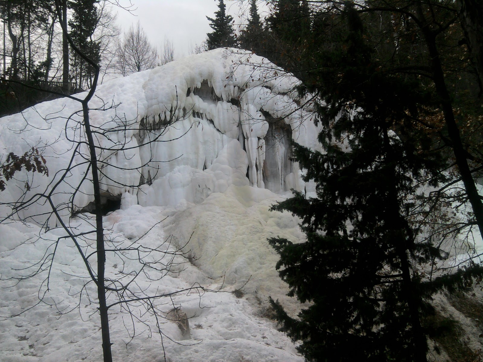 suggestive immagini del fosso bianco a bagni san filippo si acque termali che scorrono in mezzo al bosco