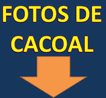 CACOAL