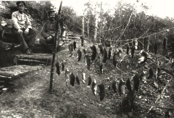 essay on life in the trenches of ww1 essay on life in the trenches of ww1