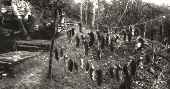 Historical Photos Trench Life WW1