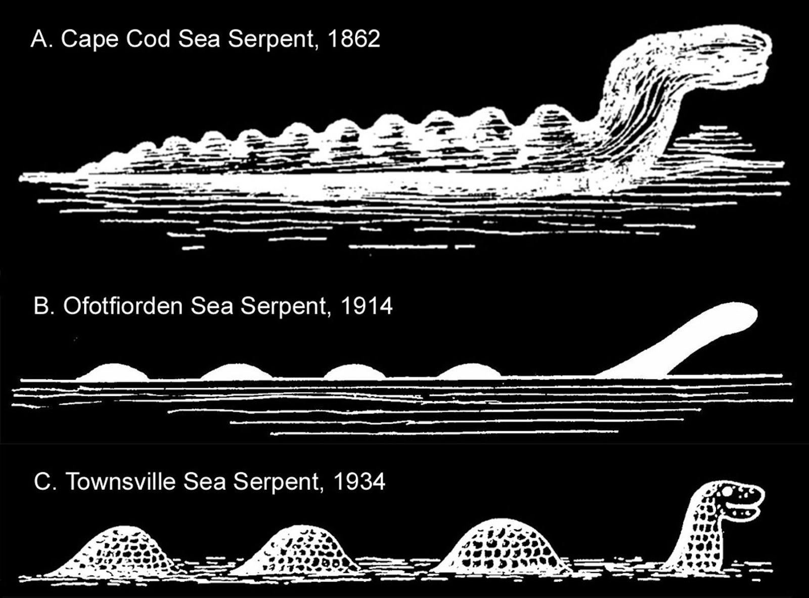 New Page Books Creature of the Month The Sinuous SeaSerpent by Oberon