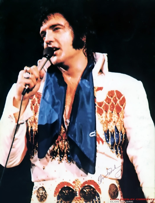 ELVIS PRESLEY PHOTO´S BLOG 3 19701977 Elvis Presley On Tour 1974