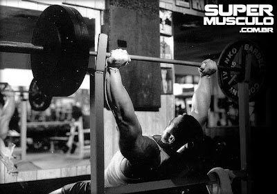 Treino Musculação Treino Musculação