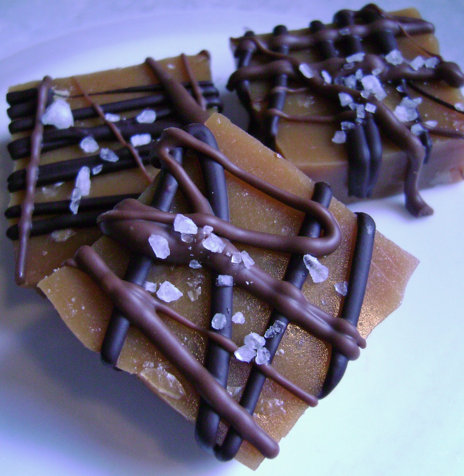 Jo and Sue Chocolate Drizzled Salted Caramels