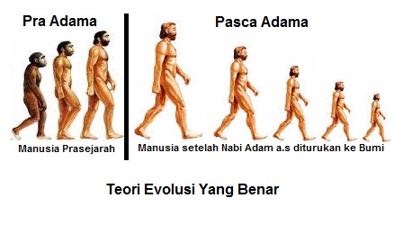 Keturunan Nabi Adam a.s atau Manusia Jawakah Kita Ini? Keturunan Nabi Adam a.s atau Manusia Jawakah Kita Ini?