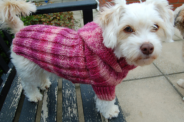 Miss Julias Patterns: Free Patterns - Everything for Dogs - Coats & ...