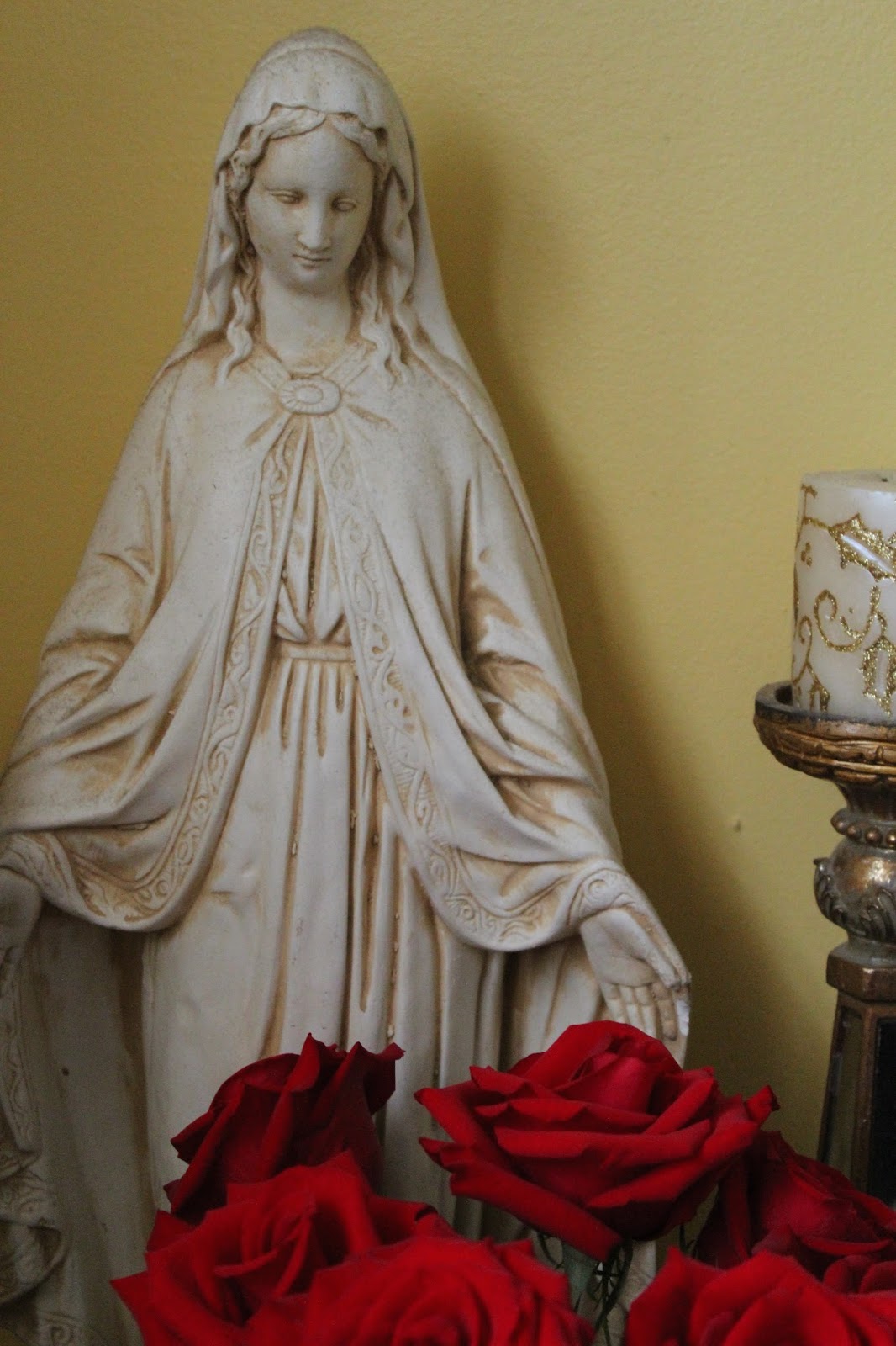 Photo Shoot Therese's Roses