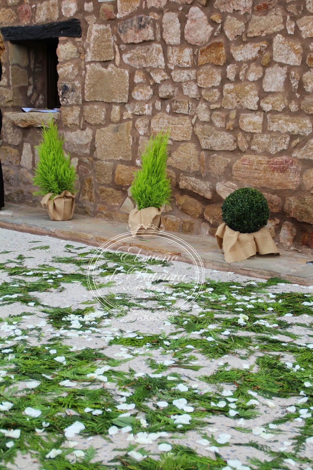 Arena Pétalo Bodas Arena Pétalo Bodas
