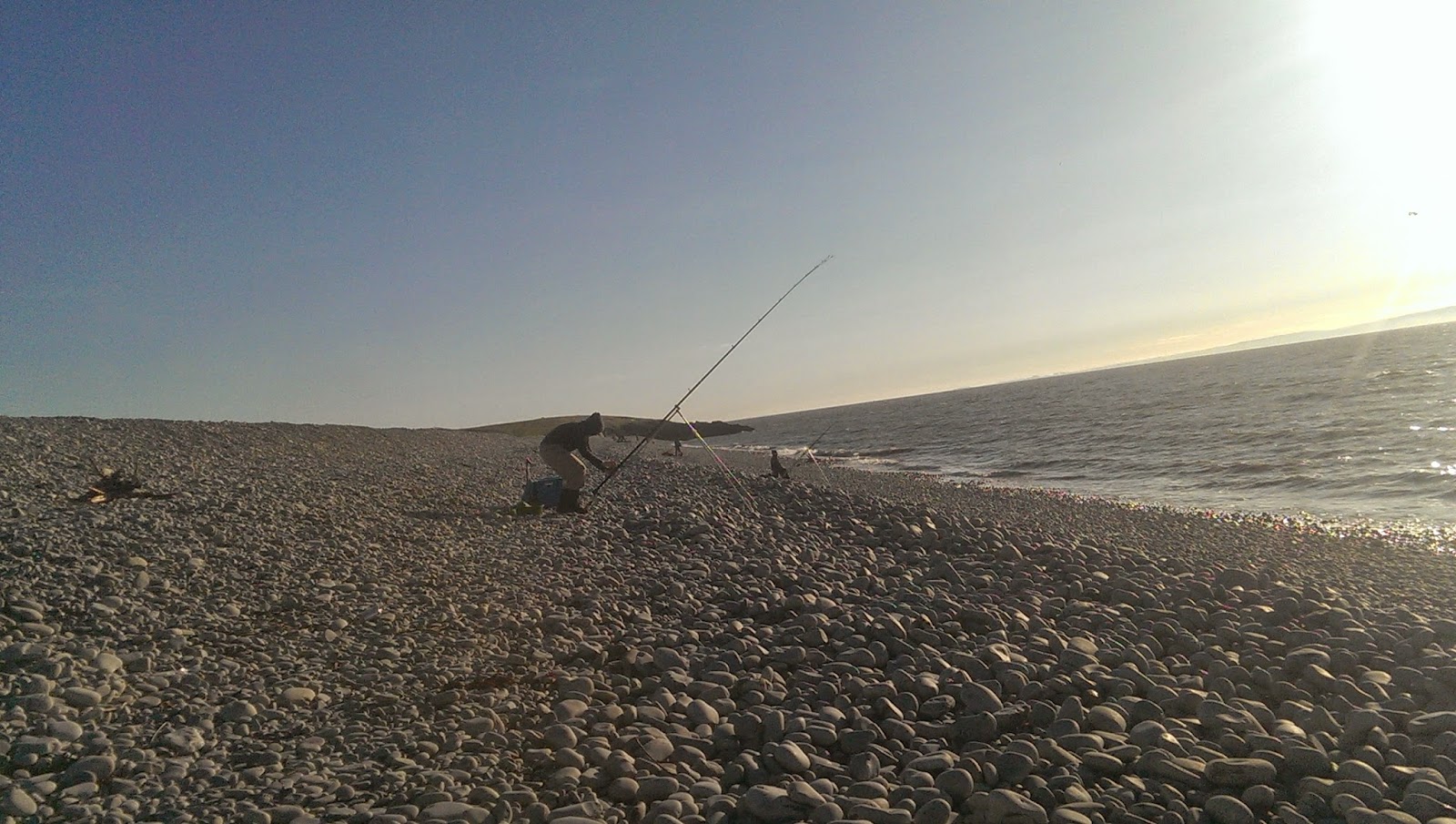 fish hungry кто производитель fish hungry кто производитель