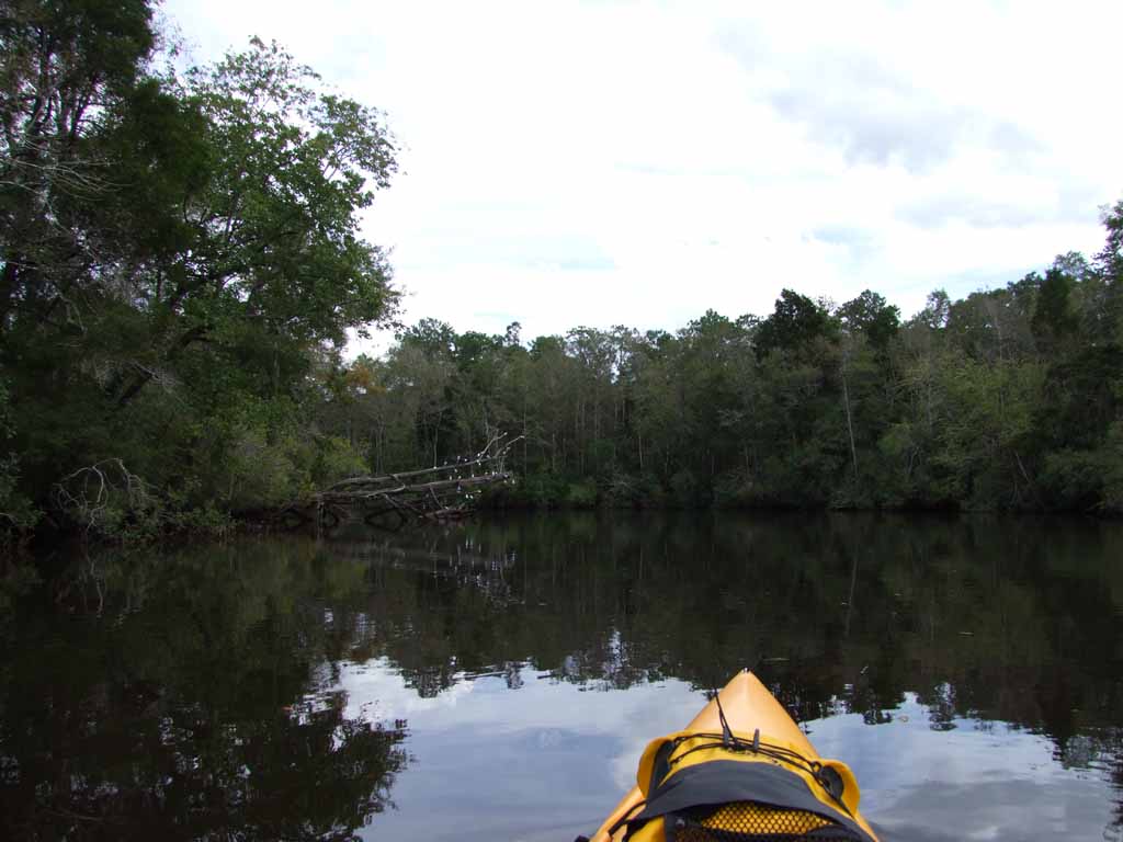 Kayaking the MobileTensaw River Delta 10/10/2009 Lower Escatawpa River