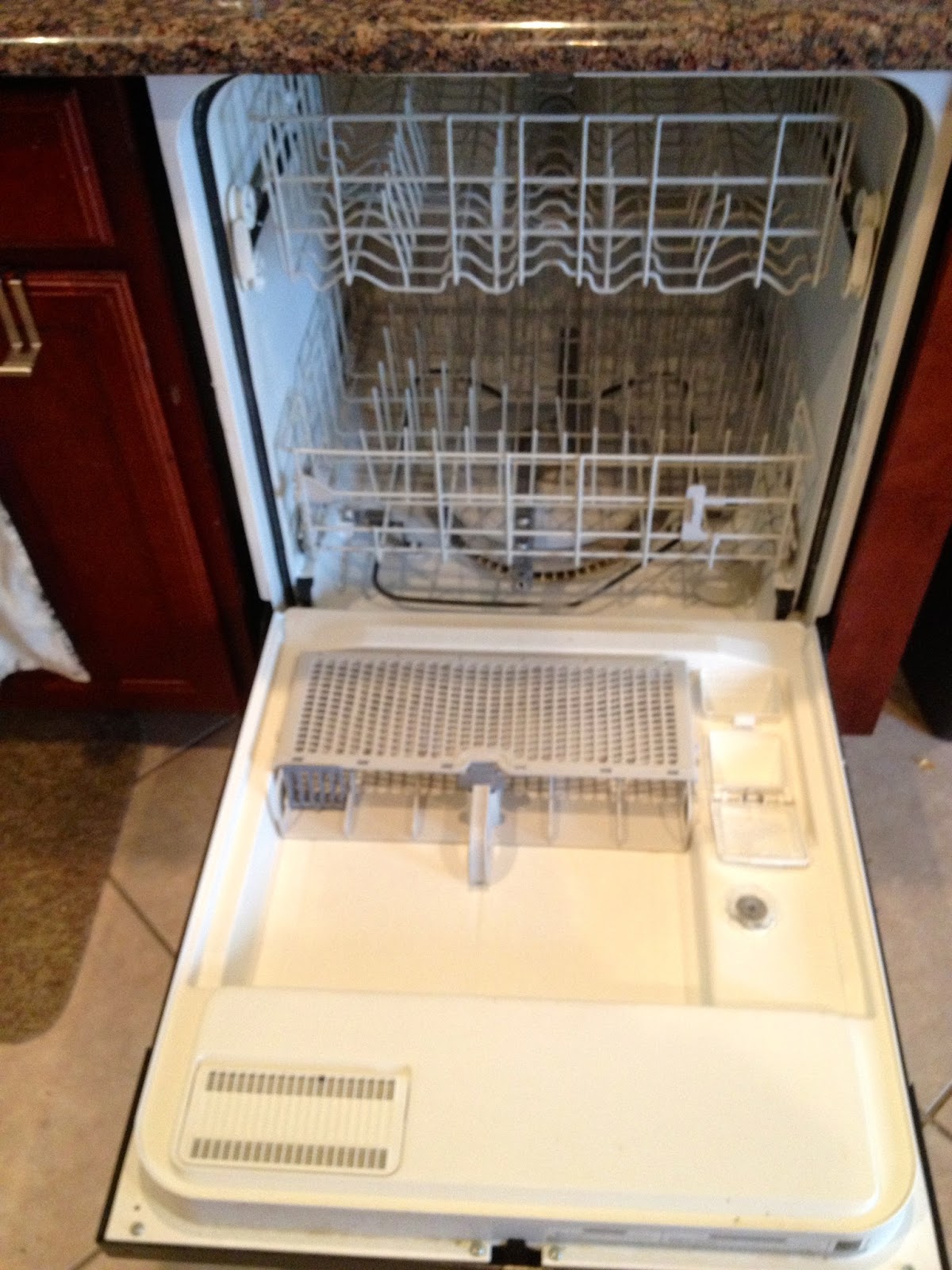 Natural, Easy Way to Clean Your Dishwasher! Overthrow Martha