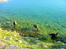Pamukkale Natural Park Lake Turkey