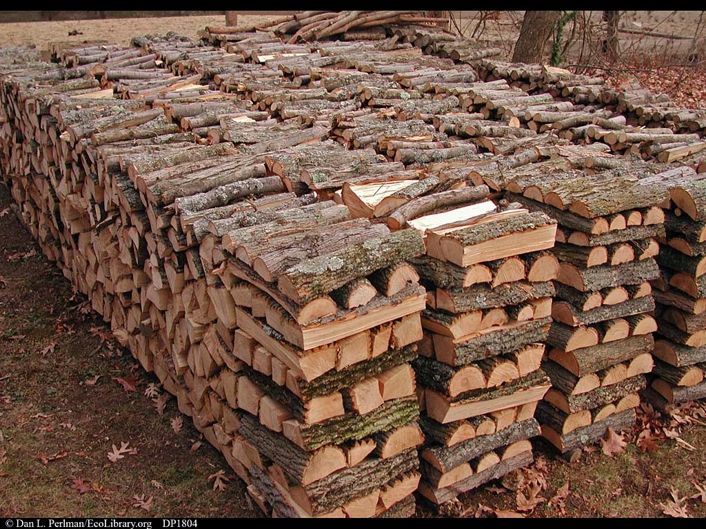 Wisconsin DNR tightens firewood rules to slow wood pests travel