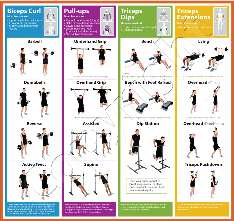 Jim stoppani chest workout, bodybuilding for beginners pdf, reverse ...