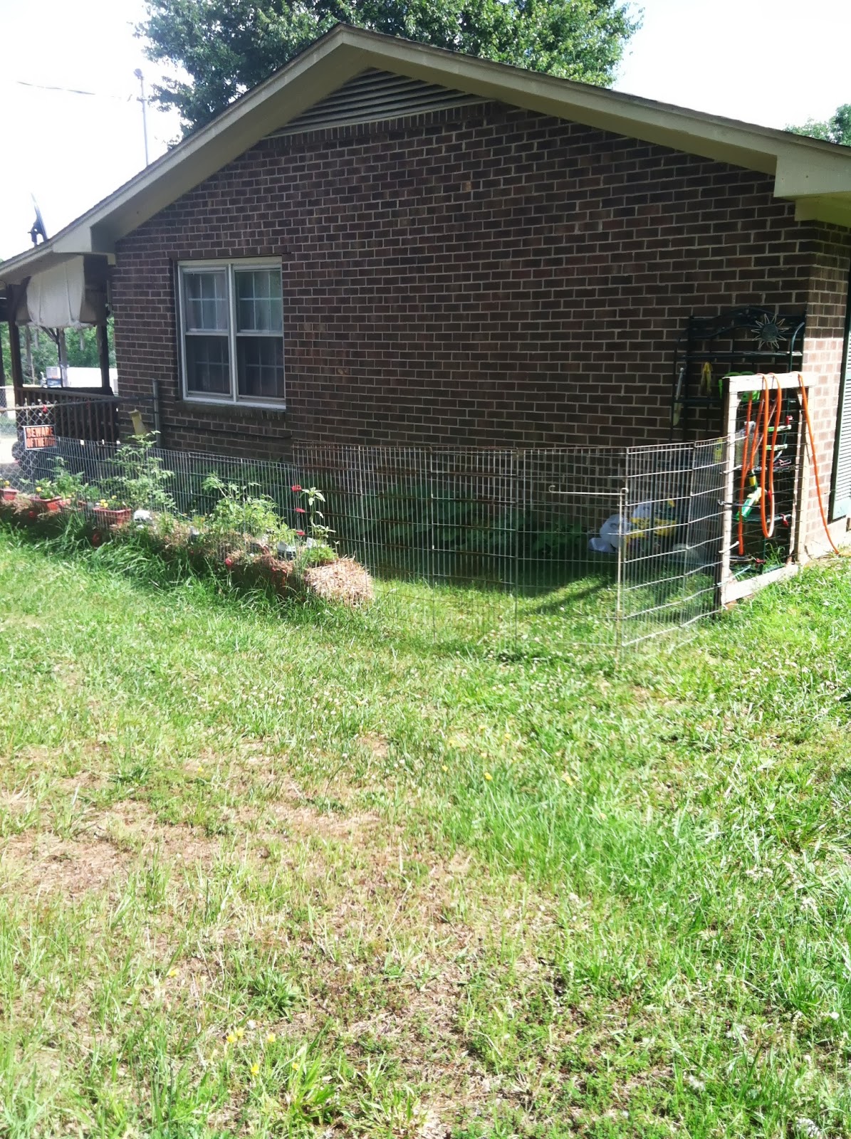 Photos Of My Straw Bale Garden… GRANNY'S COLORFUL