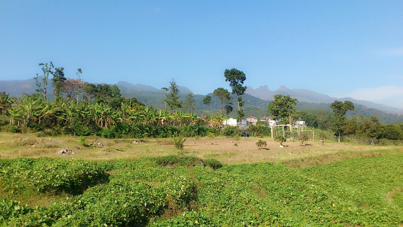 VILLA MURAH PACET "DAMAR SEWU GROUP": Bumi Perkemahan ...